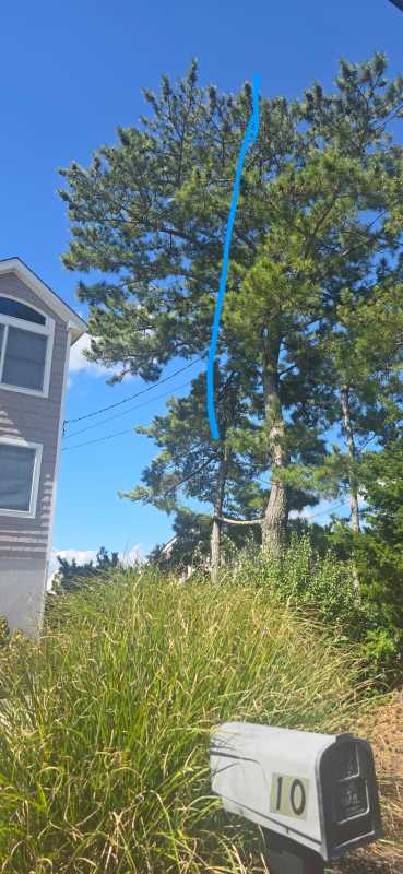 Sandoval Brothers Services LLC